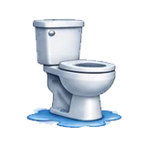 Overflowing Toilets